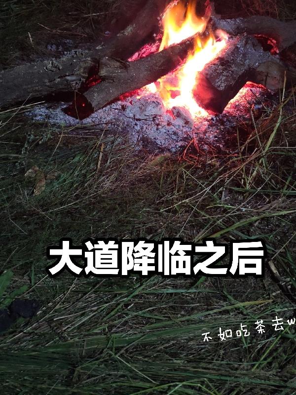 大道降臨之后林陽小說全文免費(fèi)閱讀