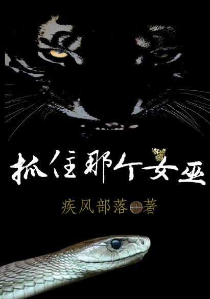 《抓住那個(gè)女巫》小說章節(jié)列表免費(fèi)試讀泰格伊娃小說全文