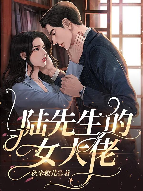 陸先生的女大佬陸湛珽林清雨小說免費(fèi)閱讀最新章節(jié)