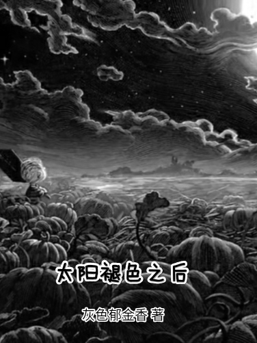 《太陽褪色之后》小說章節(jié)列表免費(fèi)試讀李顧生小說全文