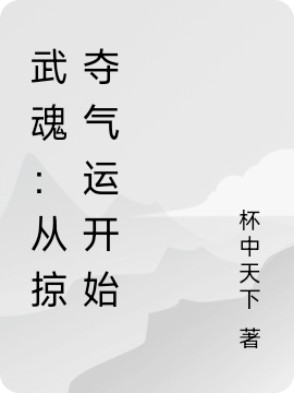 武魂：從掠奪氣運(yùn)開始(葉辰)小說全文免費(fèi)閱讀