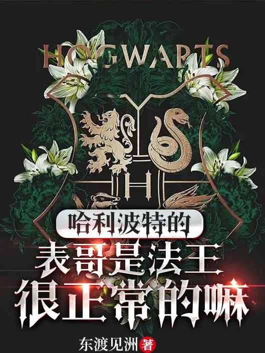 《哈利波特的表哥是法王很正常的嘛》小說章節(jié)列表免費(fèi)試讀查爾斯哈利波特小說全文