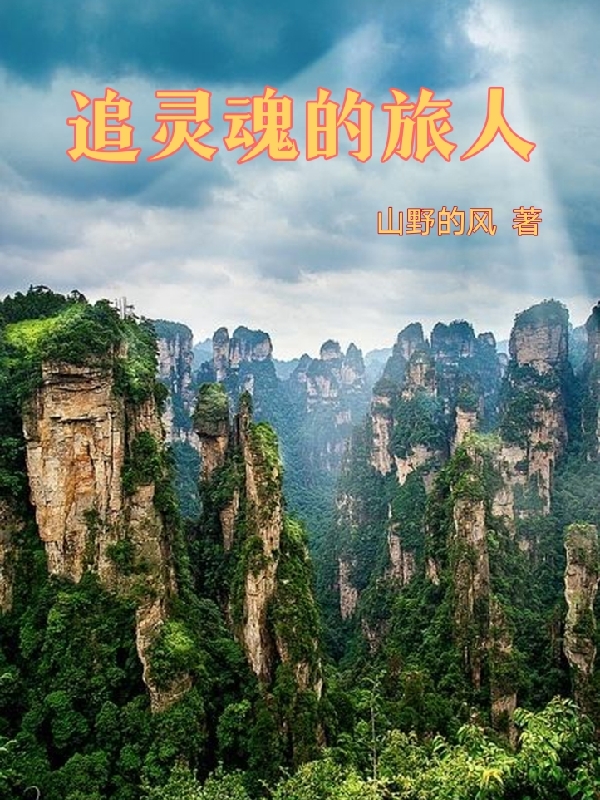 追靈魂的旅人最新章節(jié),小說(shuō)追靈魂的旅人無(wú)彈窗(任靈靈)