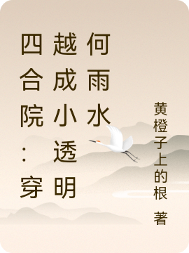 《四合院：穿越成小透明何雨水》小說(shuō)章節(jié)列表免費(fèi)試讀何雨水小說(shuō)全文