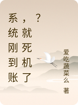 系統(tǒng)剛到賬，就死機(jī)了？張三的小說(shuō)免費(fèi)閱讀完整版