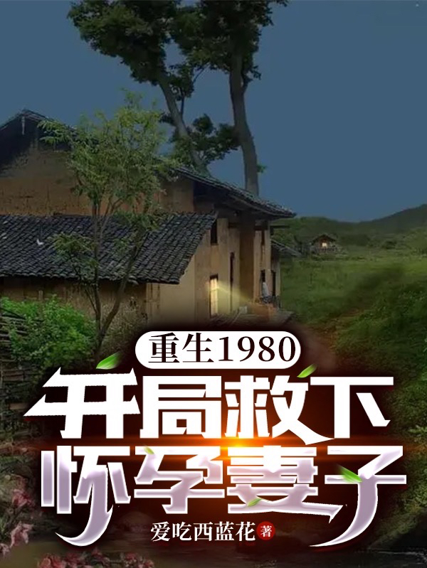 重生1980：開局救下懷孕妻子高志恒安寧小說(shuō)免費(fèi)閱讀最新章節(jié)