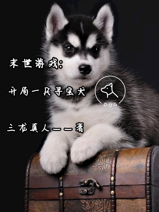 末世游戲：開局一只尋寶犬小說（云軒尋寶犬）全文免費(fèi)閱讀無彈窗大結(jié)局_(末世游戲：開局一只尋寶犬免費(fèi)閱讀全文大結(jié)局)最新章節(jié)列表_筆趣閣（末世游戲：開局一只尋寶犬）