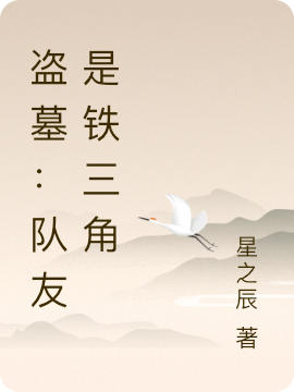 盜墓：隊友是鐵三角小說（江辰張起靈）全文免費閱讀無彈窗大結(jié)局_(盜墓：隊友是鐵三角免費閱讀全文大結(jié)局)最新章節(jié)列表_筆趣閣（盜墓：隊友是鐵三角）