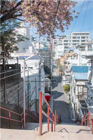 姜夜川路淼淼(七個男友碰面后，我翻車了)_(姜夜川路淼淼)全章節(jié)閱讀